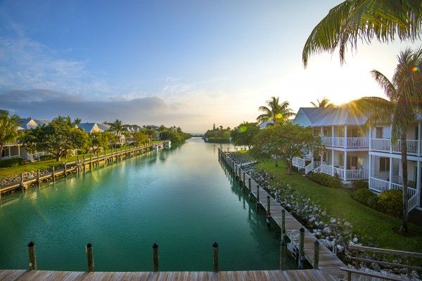 A serene canal lined with palm trees, waterfront houses, and wooden docks during a sunny day, reflecting a tropical, peaceful environment.