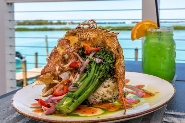 A plated fish dish with vegetables and rice, served with a green drink garnished with an orange slice, set against a waterfront backdrop.