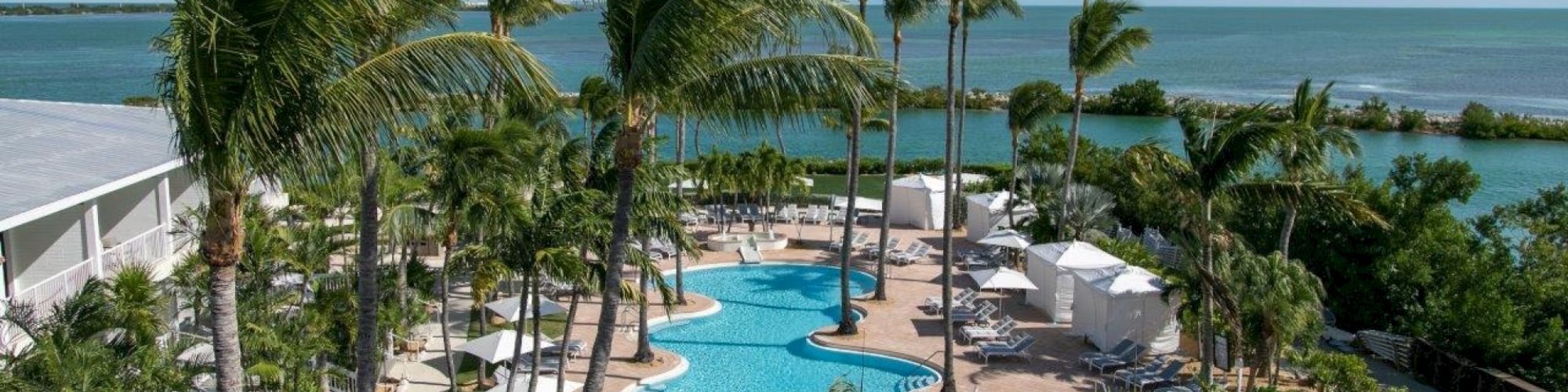 A tropical resort featuring a large pool surrounded by palm trees, lounge chairs, and buildings, with an ocean view in the background.