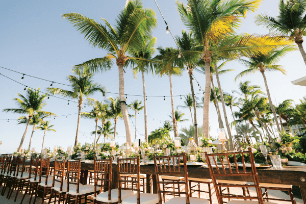 A beautifully set outdoor dining area with wooden chairs, tables adorned with flowers, under palm trees and hanging string lights under a clear sky.