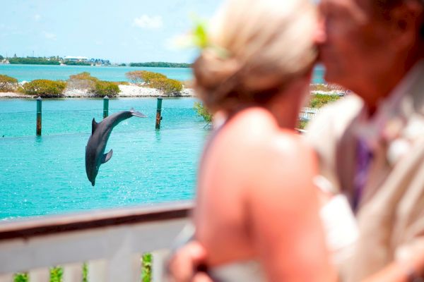 A dolphin jumps out of the water in the background as a couple embraces on a deck, with clear blue water and a sunny sky enhancing the scene.