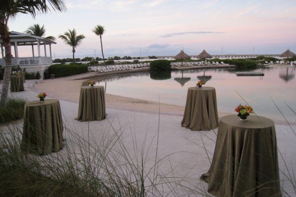 An outdoor event setup by a pool with tall covered tables, each adorned with floral centerpieces, surrounded by palm trees and deck chairs.