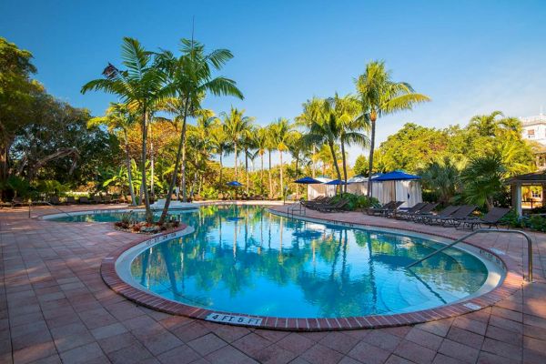 A serene outdoor pool surrounded by lounge chairs, palm trees, and greenery under a clear blue sky, creating a picturesque relaxation spot.