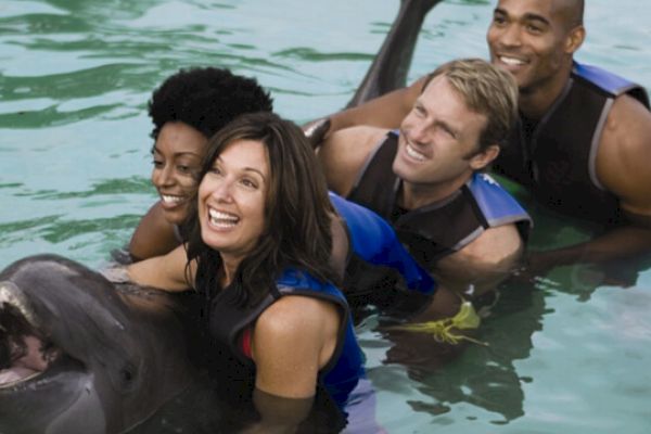 Four people wearing life vests are enjoying an interaction with a dolphin in a pool, smiling and appearing to have a good time.