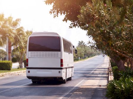 A white bus is driving down a tree-lined road with palm trees and greenery on either side, under a bright, sunny sky.