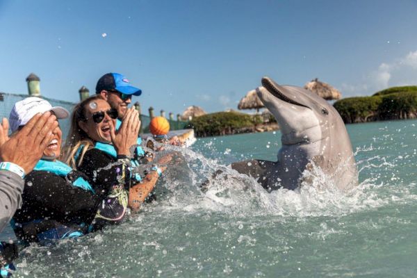 People are enjoying interacting with a playful dolphin in the water, splashing and laughing. The background shows a few thatched huts.