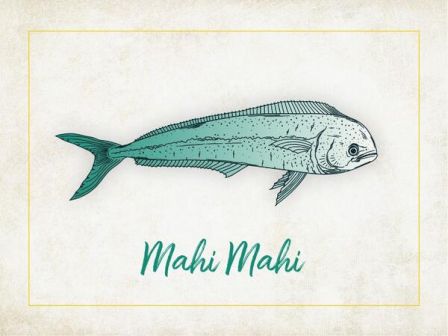 The image shows an illustration of a Mahi Mahi fish with the name "Mahi Mahi" written below it in green text.