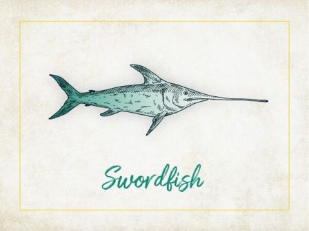 An illustration of a swordfish with the word "Swordfish" written below it in green text on a textured background.