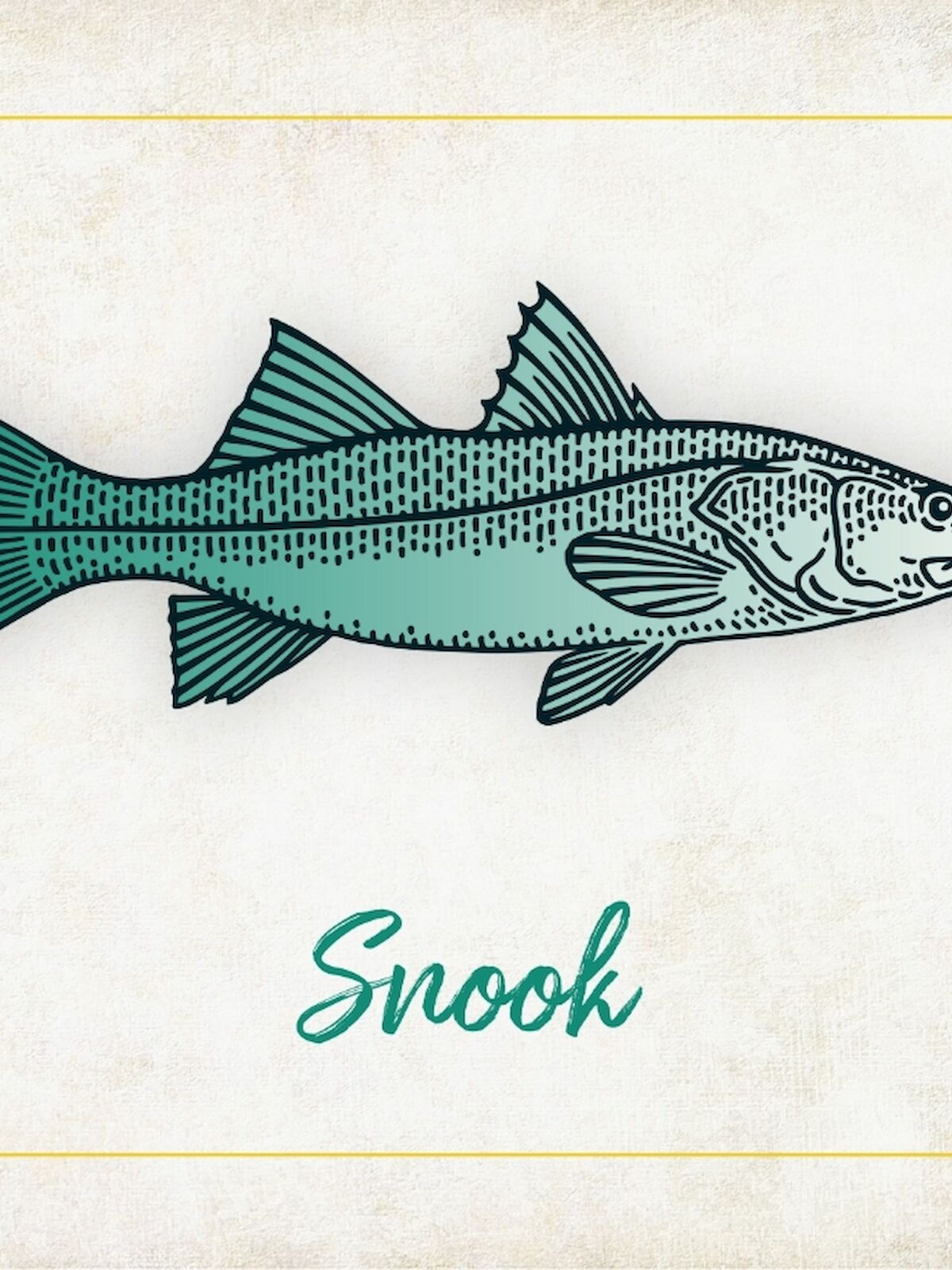 The image shows an illustration of a fish labeled "Snook" with a vintage-style background and border.