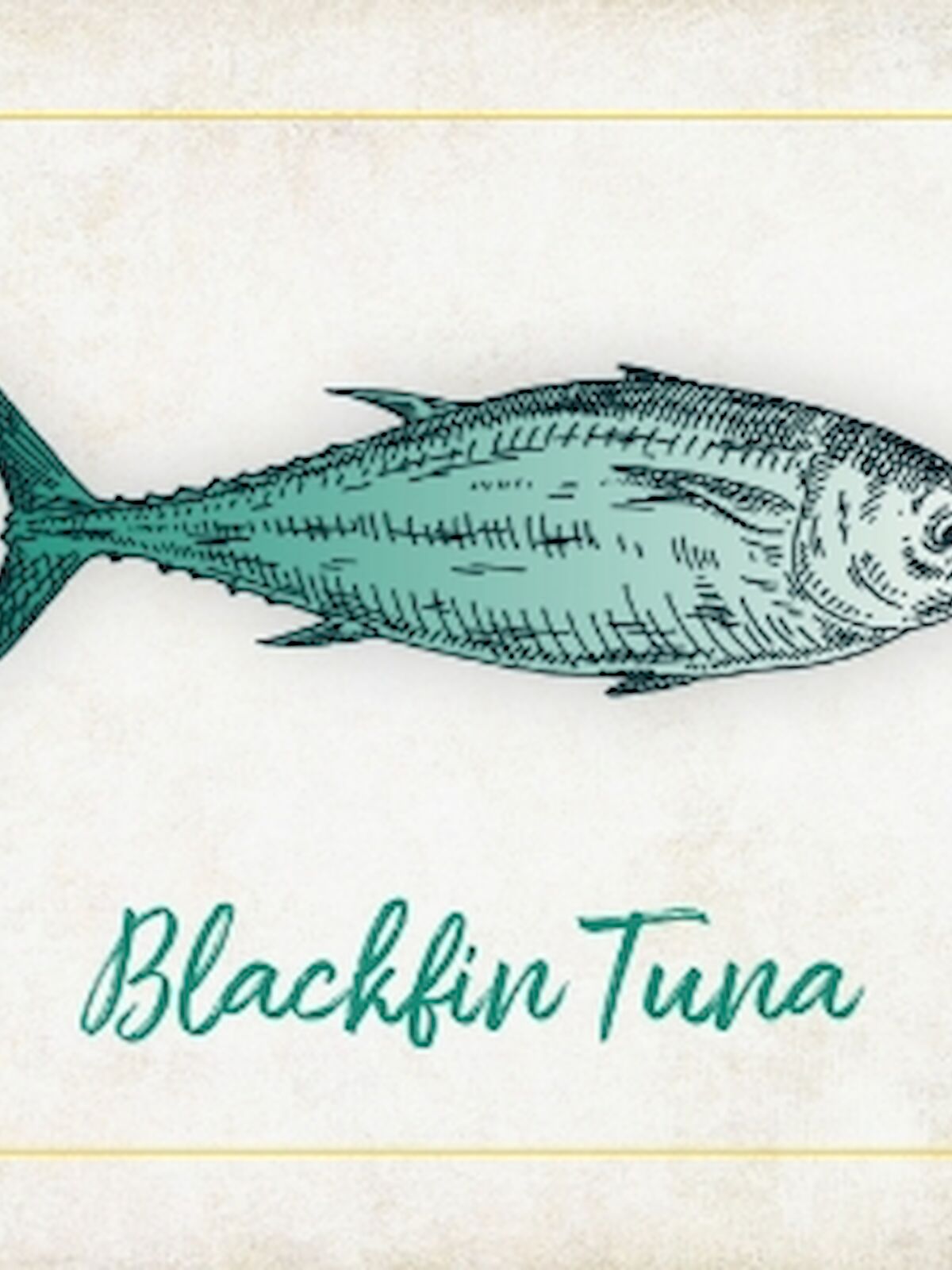 An artistic illustration of a fish labeled "Blackfin Tuna" with a vintage style background.