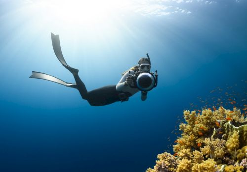 A diver is underwater, holding a camera aimed at a coral reef with various colorful corals and small fish swimming around. Sunlight filters through.