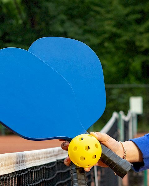 A person is holding two blue pickleball paddles and a yellow ball at a tennis court with a net and trees in the background.