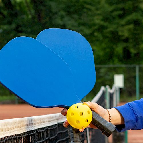 A person is holding two blue pickleball paddles and a yellow ball at a tennis court with a net and trees in the background.