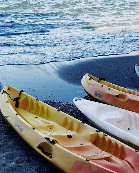 Several kayaks are lined up on a sandy beach near the shoreline, with gentle waves from the ocean in the background.