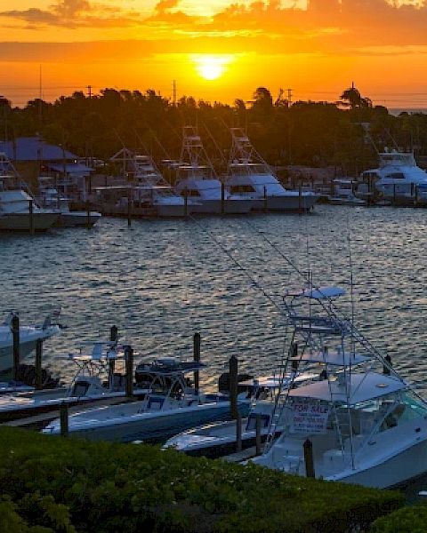 The image shows a marina filled with boats at sunset, with the sun setting over the horizon, casting a golden glow over the water and sky.