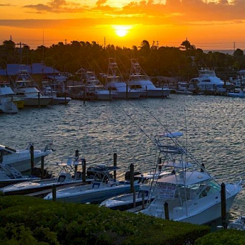 The image shows a marina filled with boats at sunset, with the sun setting over the horizon, casting a golden glow over the water and sky.