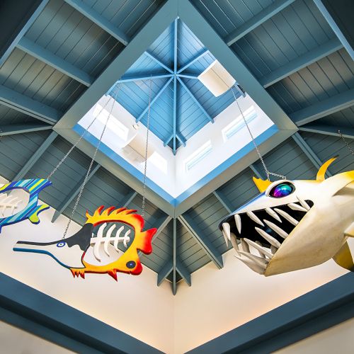 The image shows a ceiling with a skylight. Hanging from the ceiling are three colorful, whimsical fish sculptures.