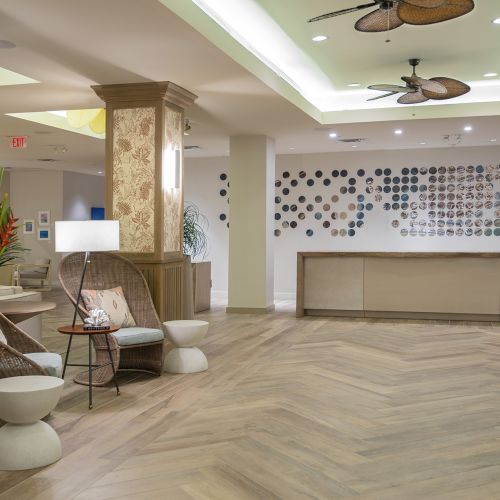 A modern hotel lobby with wicker chairs, a decorative plant, a reception desk, and a wall with circular artwork. The ceiling has fans and lights.