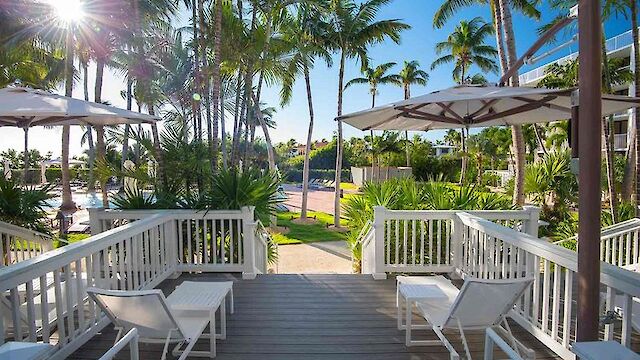 The image shows a sunlit deck with white chairs and umbrellas under palm trees, leading to a path surrounded by lush greenery and a beautiful distant view.