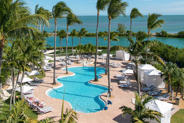 The image shows an outdoor pool area with lounge chairs, palm trees, and umbrellas, overlooking a body of water on a sunny day.