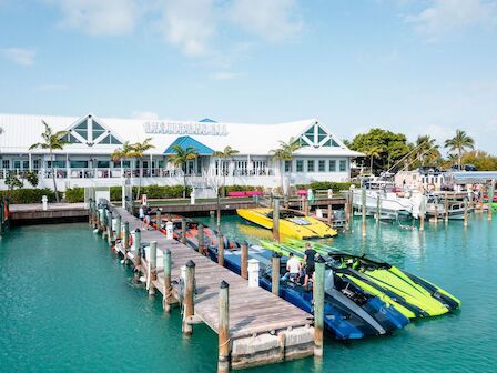 A waterfront scene with a large building, a dock, and several brightly colored boats on a clear, sunny day with palm trees in the background.